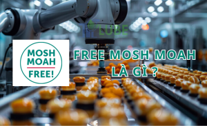 Free MOSH MOAH Là Gì