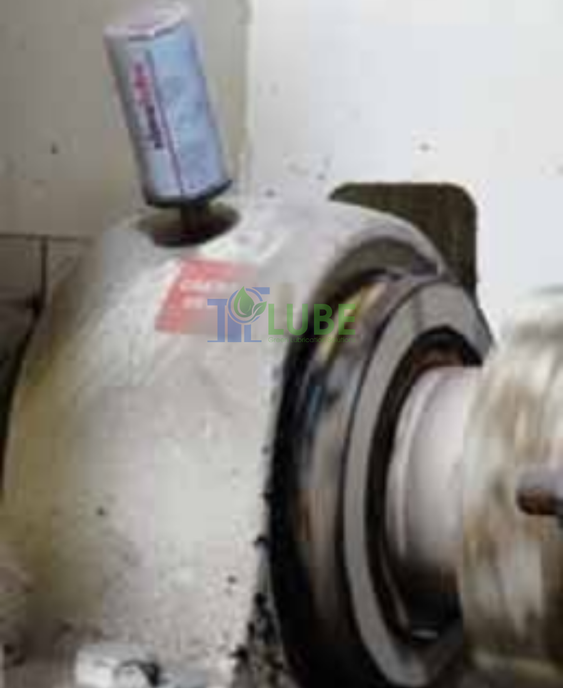 Bôi Trơn Máy Bơm Tự Động Nhà Máy Thức Ăn Chăn Nuôi
