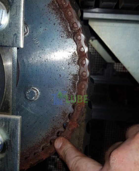 Bôi Trơn Xích Tải Bằng Mỡ- Sai Lầm Thường Gặp Phải